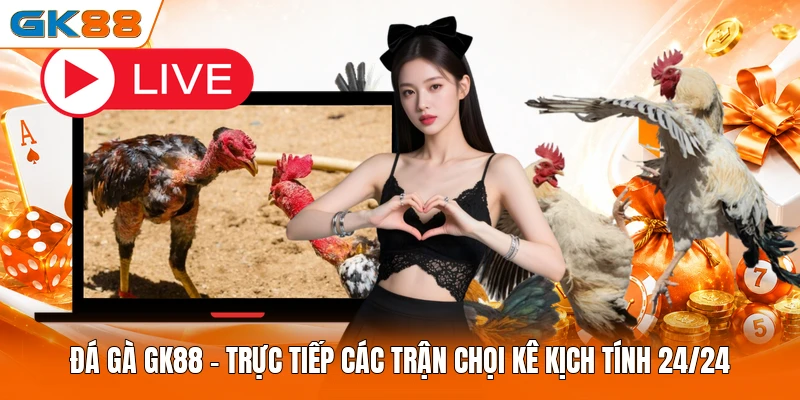 Đá Gà GK88 | Trực Tiếp Các Trận Chọi Kê Kịch Tính 24/24