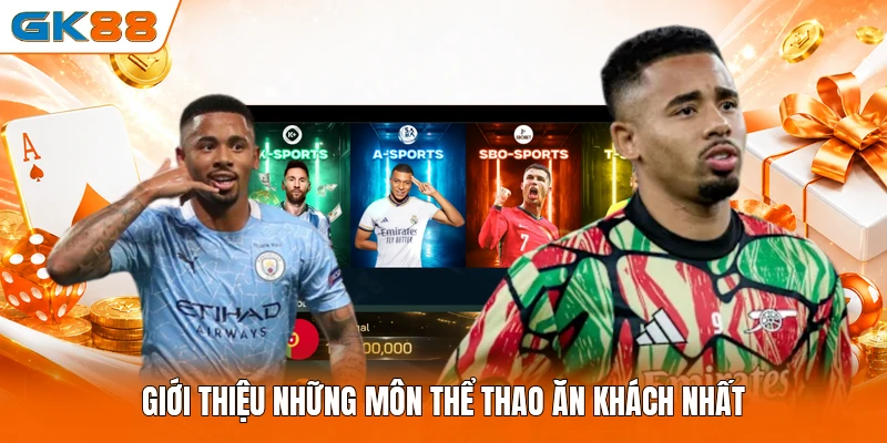 Giới thiệu những môn thể thao ăn khách nhất