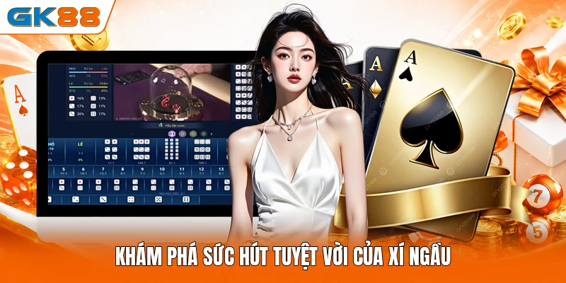 Khám phá sức hút tuyệt vời của xí ngầu